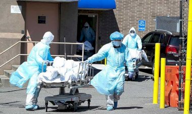 Hollanda'da vaka sayısı 31 bini aştı