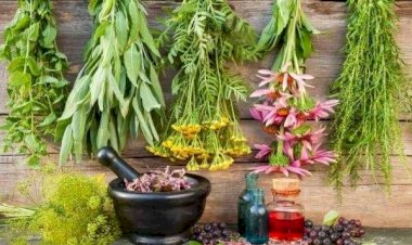 Virüse karşı korunmada alternatif tıbba eğilim artıyor