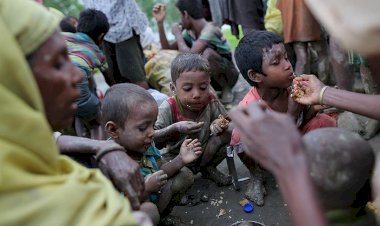 Hindistan'daki Arakanlı Müslümanlar açlık riskiyle karşı karşıya