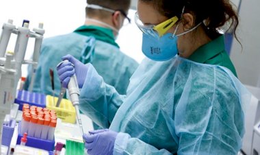 Dünya genelinde 2,5 milyondan fazla kişi koronavirüse yakalandı