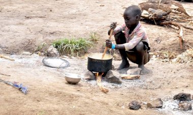 Batı Afrika'da Kovid-19 nedeniyle milyonlarca insan aç kalabilir