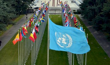 BM'den 'virüsle mücadele insan hakları krizine dönüşmesin' uyarısı