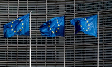 AB'den Güney Geçiş Konseyi'nin Yemen'de özerklik ilanına tepki