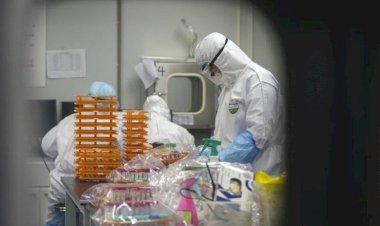 ABD İç Güvenlik Bakanlığı: Çin COVID-19 salgınını kasten sakladı