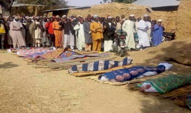 Nijerya'da 353 kişi silahlı saldırılarda yaşamını yitirdi