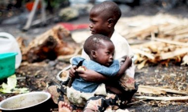 Çad Gölü havzasında 3,6 milyon kişi gıda güvensizliği yaşıyor