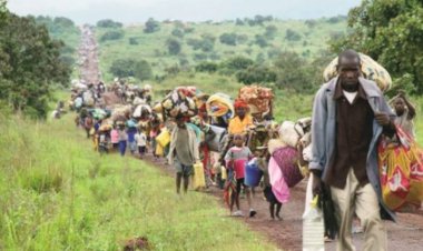 23 bin Nijeryalı Nijer topraklarına sığındı