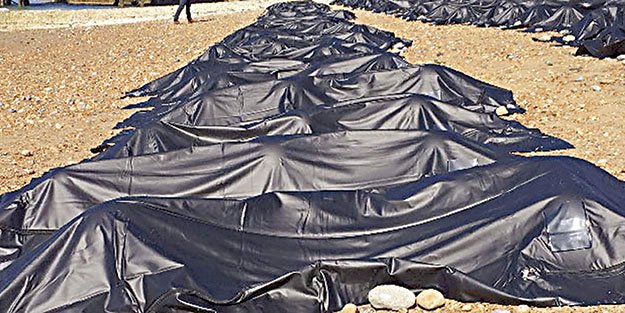 ABD'de ölü sayısı 115 bini geçti