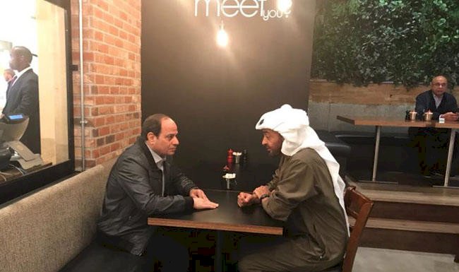 BAE, Cezayir ve Tunus'a bir 'Sisi' arıyor