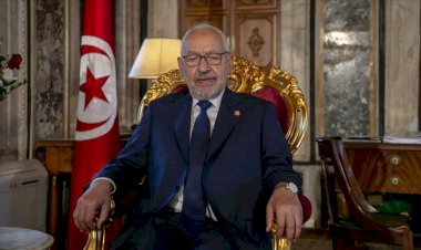 BAE'nin Gannuşi'yi karalama kampanyasının hedefi aynı zamanda Tunus tecrübesi