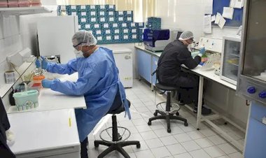 Koronavirüslere karşı bağışıklığın süresi altı ayı geçmiyor