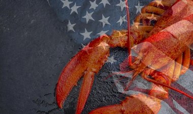 Trump'tan Amerikan ıstakozları için AB ve Çin'e 'gümrük vergisi' tehdidi