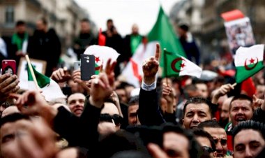 Cezayirli uzmanlar: Fransız medyası demokratik sürecin önünü kesmeye çalışıyor