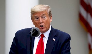 Trump: Seattle, iç teröristlerin egemenliğine geçti