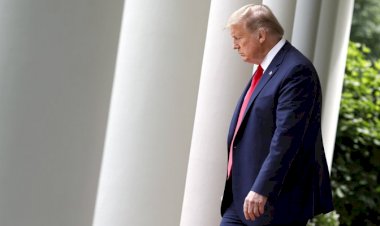 Seattle Belediye Başkanından Trump'a 'sığınağına dön' yanıtı