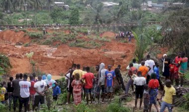 Fildişi Sahili'nde toprak kayması: 16 ölü