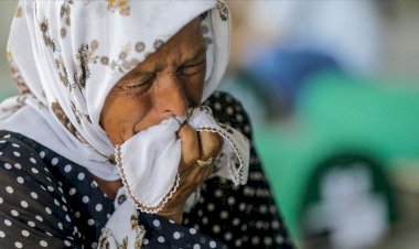 'Srebrenitsa soykırımı yaşanmayabilirdi'