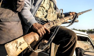 Nijerya'da geçen ay 80 silahlı çete üyesi öldürüldü