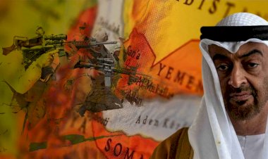 'BAE, Arapların arasındaki kanserli bir hücre'