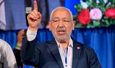 'Tunus'taki özgürlük bazı Arap ülkelerini endişelendiriyor'