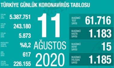 Türkiye'de koronavirüsten 15 ölüm: Bugünkü vaka sayısı 1183