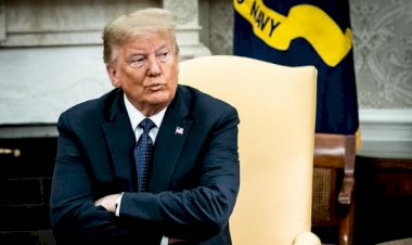 Trump: Oy pusulaları ölülere, kedilere ve köpeklere gidiyor