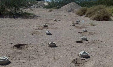 Esed rejimi zorunlu askerliği reddeden 100 kişiyi mayın tarlasına sürdü: 8 ölü, 15 yaralı