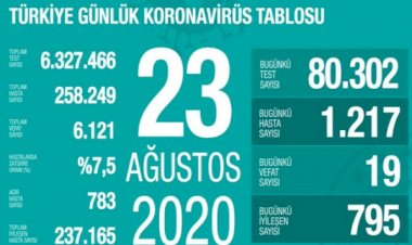 Türkiye'de koronavirüsten 19 can kaybı: 1217 yeni vaka