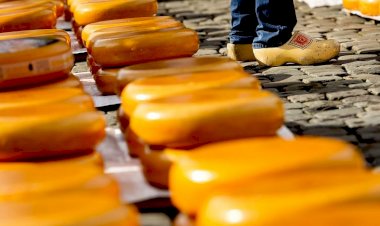 Peynirden zehirlenen 10 kişinin ölümü üzerine soruşturma başlatıldı