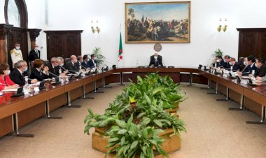 Cezayir Bakanlar Kurulu, anayasa değişikliği taslağını onayladı