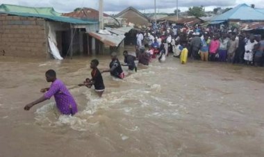 Nijerya'da sel felaketinde 24 kişi öldü