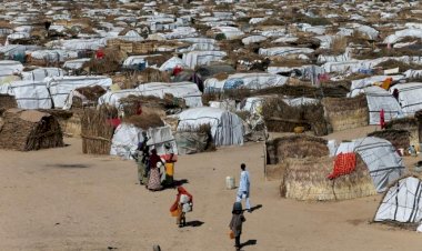 2050'ye kadar 1 milyardan fazla kişi yiyecek ve su yüzünden yerinden olabilir