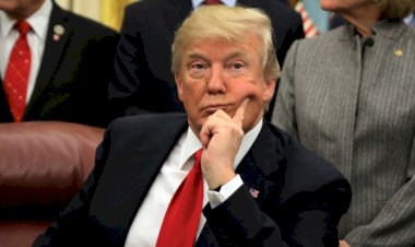 Trump: Bilimin bildiğini sanmıyorum