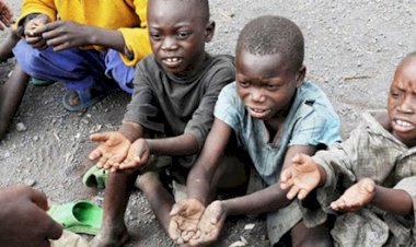 Dünya Gıda Programı insanların açlıktan ölmemesi için milyarderlerden yardım istedi