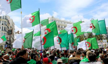 Cezayir, yeni Anayasa ile ülkedeki Fransız nüfuzunu kırmak istiyor