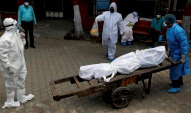 COVID-19 nedeniyle 987 bin 813 kişi hayatını kaybetti