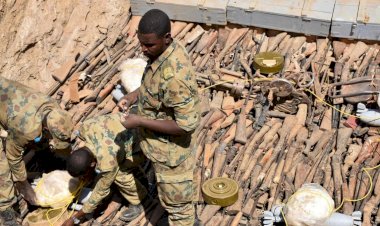 Sudan'da yüz binlerce silah imha edildi