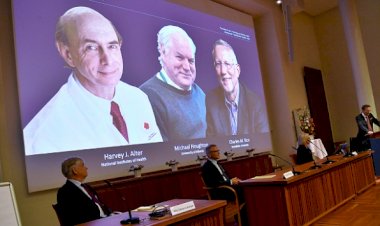 Nobel Tıp Ödülü sahiplerini buldu