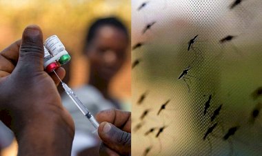 Mali'de sıtmadan bir haftada 23 kişi öldü