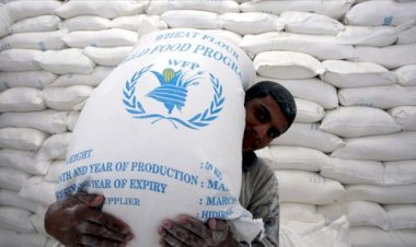 Nobel Barış Ödülü Dünya Gıda Programı'na verildi