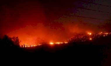 Suriye'deki orman yangınları kontrol altına alınamıyor