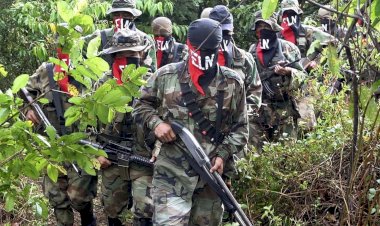 FARC miltanları BM çalışanlarına saldırdı