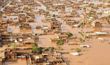 BM: Son 20 yılda doğal afetlerde hızlı artış görüldü