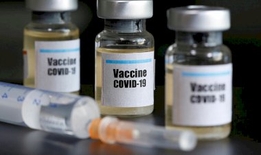 DSÖ: Aşı aralıktan itibaren onaya sunulmaya hazır olabilir