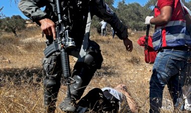 İşgalci İsrail askerlerinden Filistinlilerin zeytin toplamasına engel