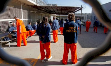 Araştırma: ABD'de tutuklanan 5 bin kişi hüküm giymeden öldü