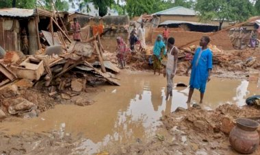 Nijerya'da sel felaketinde can kaybı 185'e çıktı