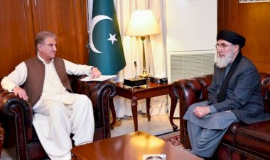 Gülbeddin Hikmetyar resmi temaslarda bulunmak üzere Pakistan'da