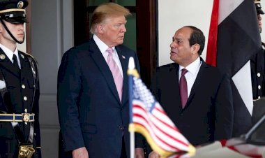 'Trump'ın kayıtsız tavrı Sisi'yi cesaretlendirdi'