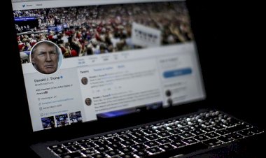 Hollandalı hacker Trump'ın Twitter şifresini tahmin ederek çözdü